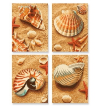 Картина по номерам Schipper Ракушки Арт. 9340654