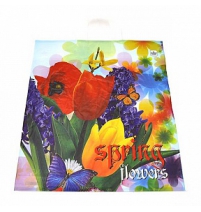 Пакет с петлевой ручкой 40*44+6 (35) Весенние цветы арт.ПТЛ02244