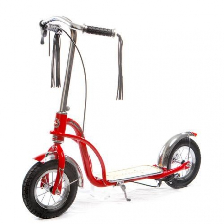 Самокат Rich Toys 45     